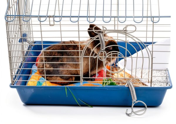 SATUY Spring Latch Hook Pet Cage Door Secure Galvanized-5